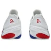 Court FF 3 Novak «White Blue Red»