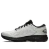 Gel-Kayano 25 «Glacier Grey»