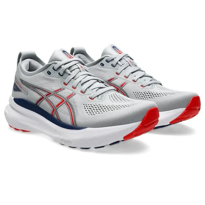 Gel-Kayano 31 «Piedmont Grey Fiery Red»