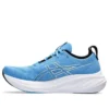 Gel-Nimbus 26 „Waterscape“