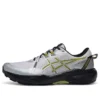 GEL-Venture 11 «Gray Yellow»