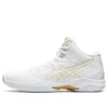 Gelhoop V12 «White»