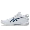 Gelhoop V17 S „White Mako Blue“