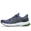 GT-1000 12 «Thunder Blue Electric Lime»