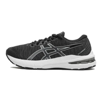 GT-2000 11 «Black Carrier Grey»