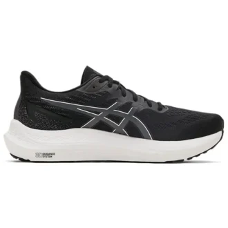 GT-2000 12 «Black Carrier Grey»