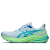 GT-2000 12 Lite-Show «Sea Glass»