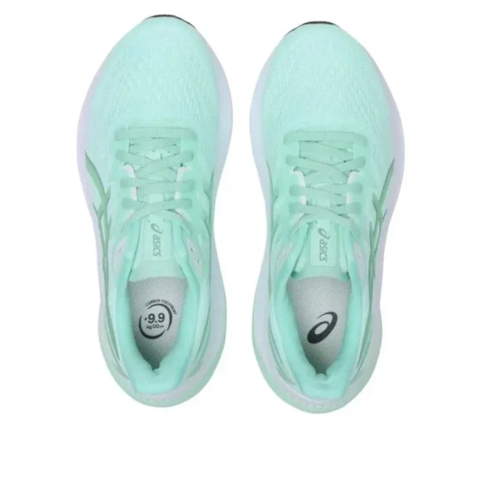 GT-2000 12 Wide „Mint Tint Dark Mint“