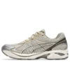 GT-2160 „Feather Grey Brown Storm“
