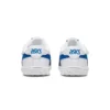 Japan S „White Blue Red“