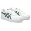 Japan S «White Ivy»