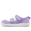 (PS) Amphibian 9 «Lavendel»
