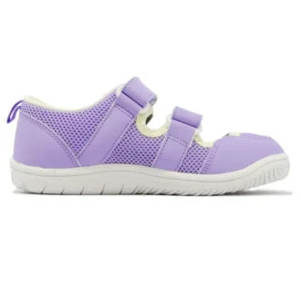 (PS) Amphibian 9 «Lavendel»