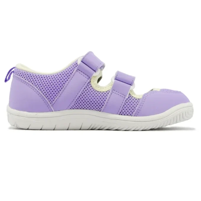 (PS) Amphibian 9 «Lavendel»