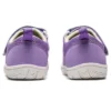 (PS) Amphibian 9 «Lavendel»