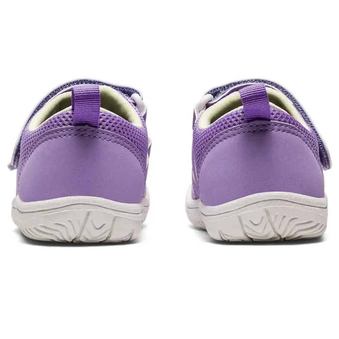(PS) Amphibian 9 «Lavendel»